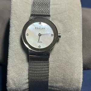 skagen watch
